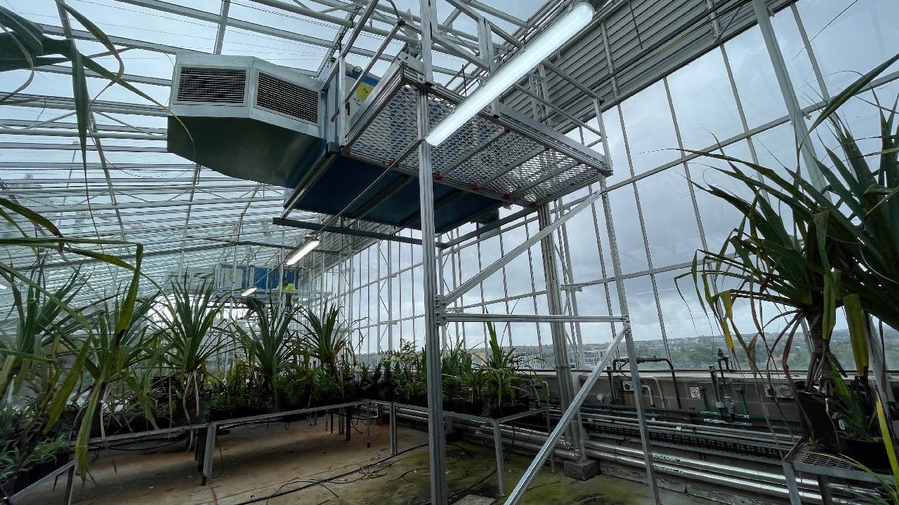 11823_Glasshouse Platforms - 2716